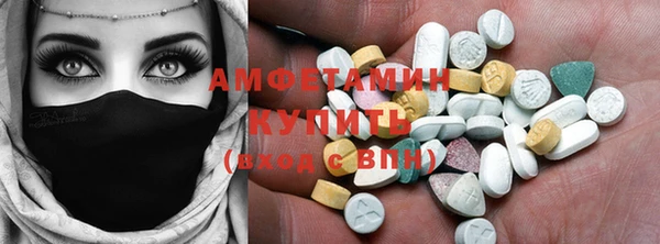 крисы Богородицк