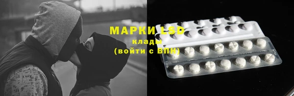 прущие крисы Верея