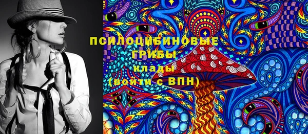 СК Верхний Тагил