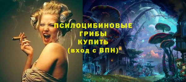 СК Верхний Тагил