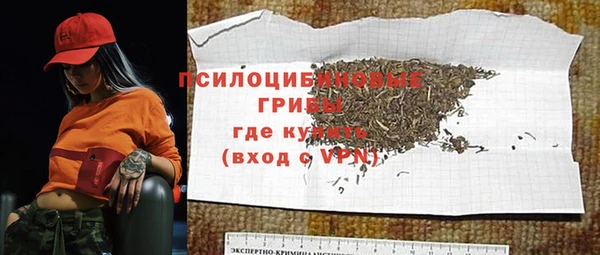 СК Верхний Тагил